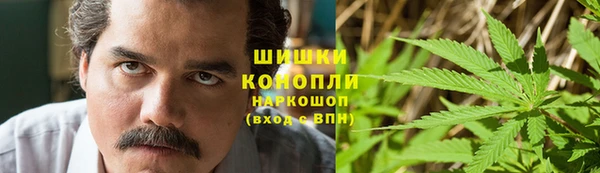 дмт Алзамай