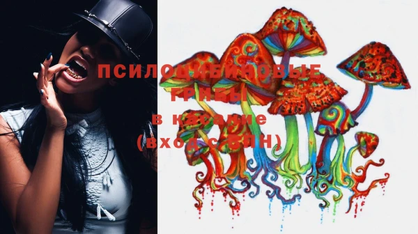 прущая мука Абаза