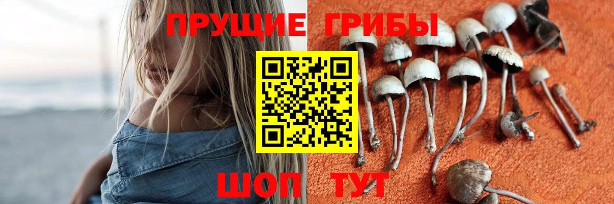 Галлюциногенные грибы GOLDEN TEACHER Каменка